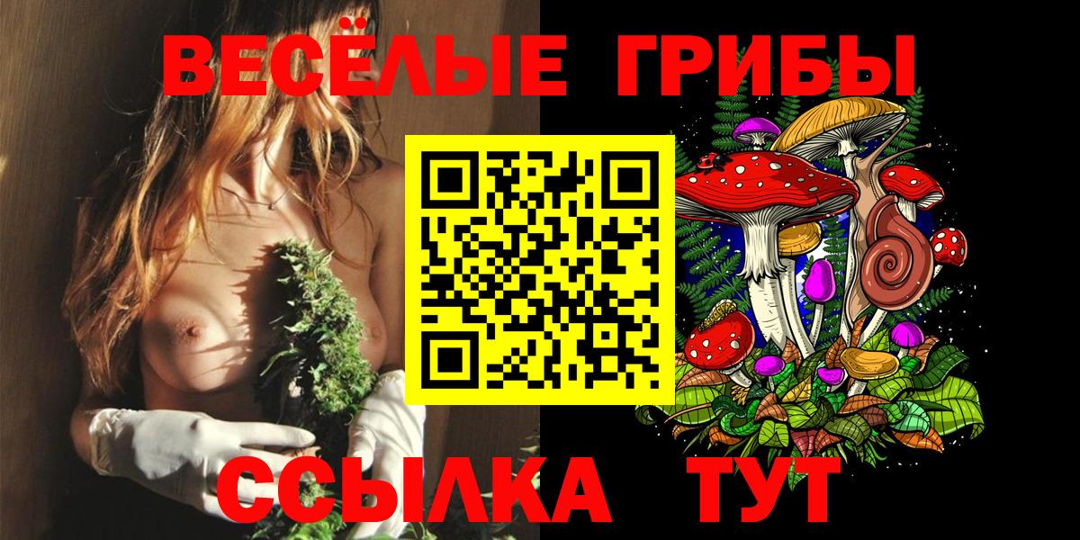 Псилоцибиновые грибы ЛСД  Вход с VPN  Топки  Галлюциногенные грибы MAGIC MUSHROOMS 